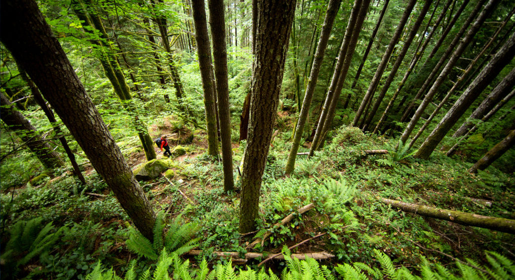 Actionable Data - MERG